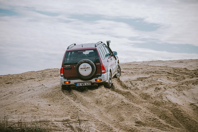 Off-Road Dune