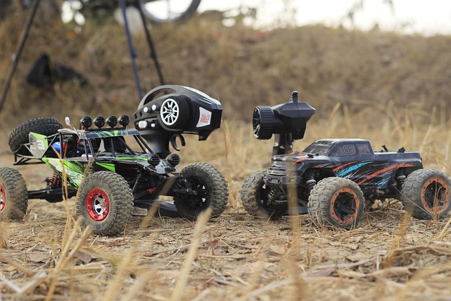 Off-Road Dune