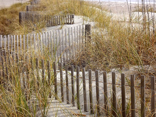 Off-Road Dune