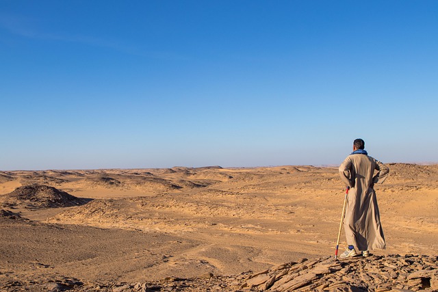 Unleash Desert Adventures: Off-Road Dune Buggy Explorations Await