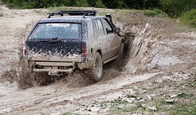 Off-Road Dune