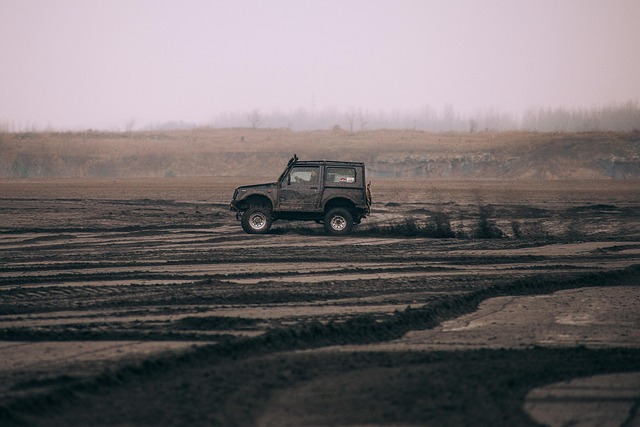 Off-Road Dune