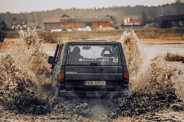 Off-Road Dune