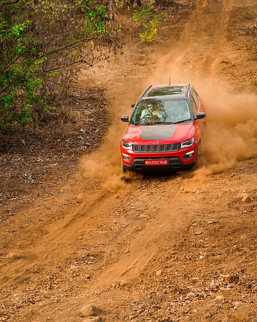 Off-Road Dune