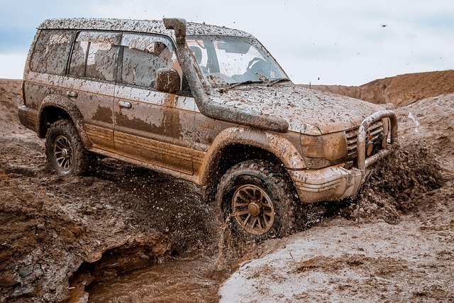 Off-Road Dune