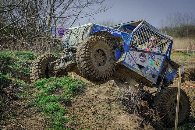 Off-Road Dune