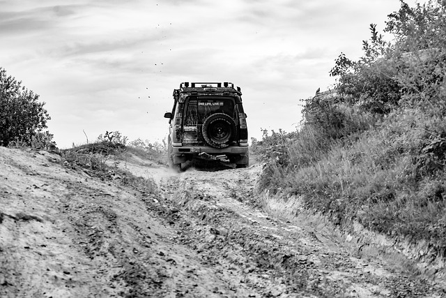 Off-Road Dune