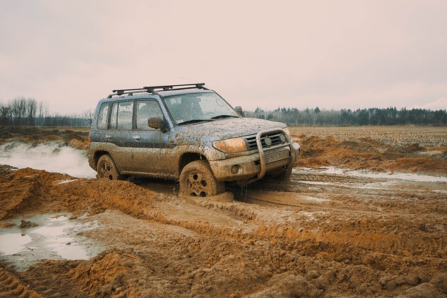 Off-Road Dune