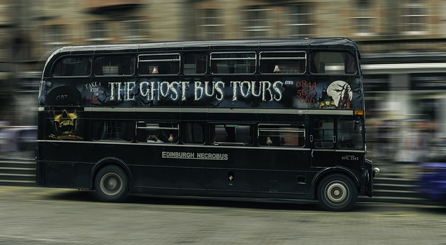 one day city tour