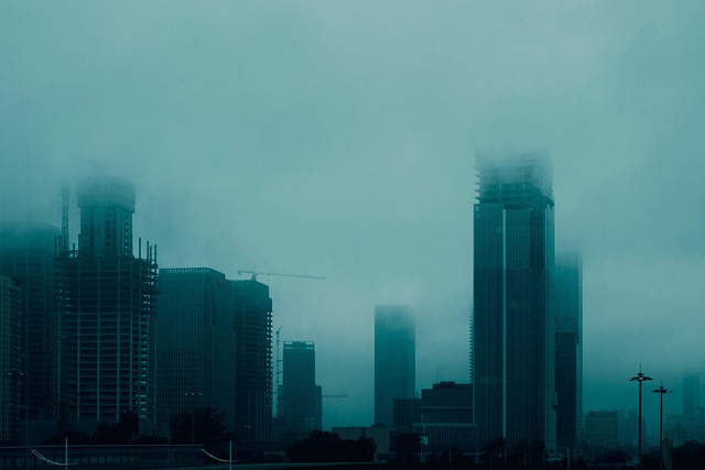 one day city tour