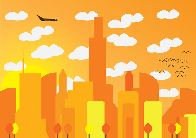one day city tour