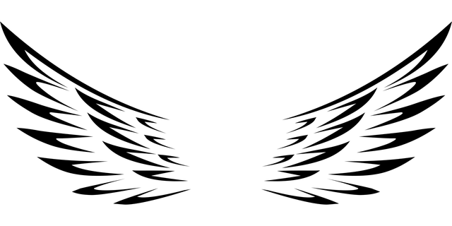one-day-tour-640x480-91734920.png