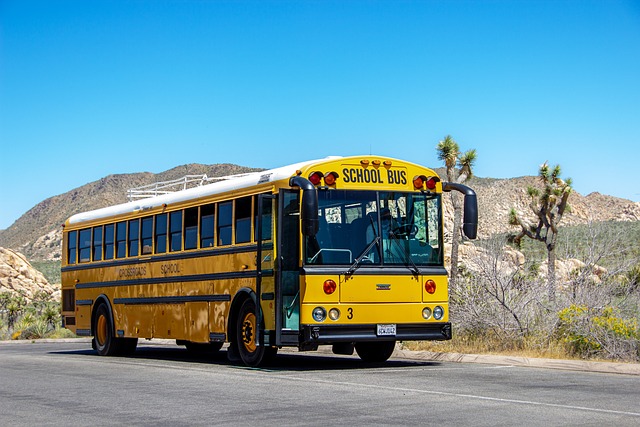party bus