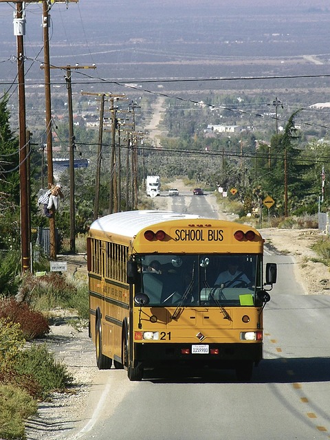 party bus