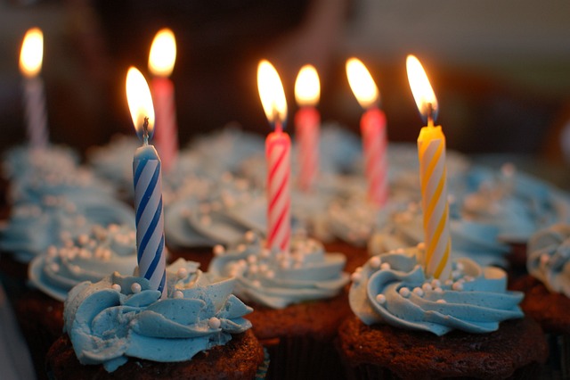 Party Bus Dubai: Pricing Guide, Packages & Tips for Customization