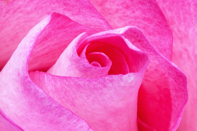 Charming Pink Limo Hire: Dubai’s Unique, Stylish, & Eco-Friendly Trend
