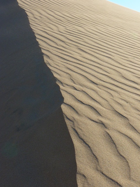 Polaris Dune