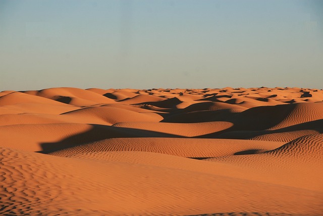 Polaris Dune