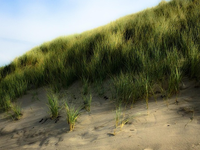 Polaris Dune
