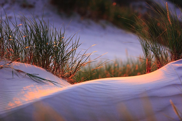 Polaris Dune
