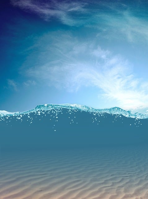 Polaris Dune