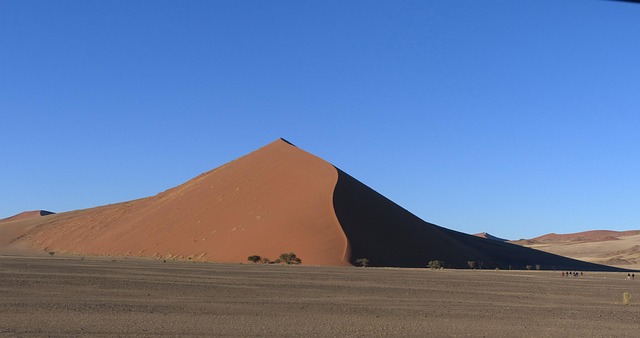 Polaris Dune