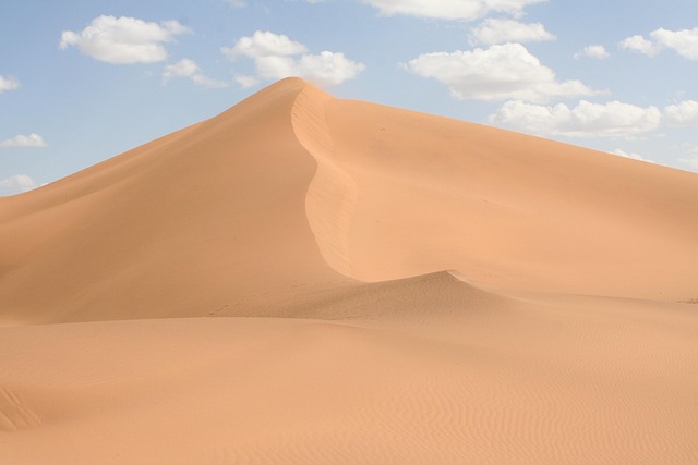 Polaris Dune