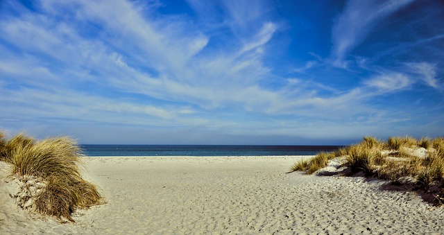 Polaris Dune