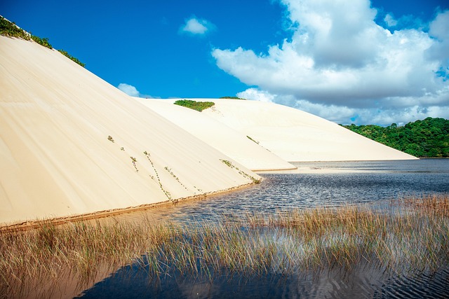 Polaris Dune Buggy: Extreme Adventures, Safety, and Top Destinations