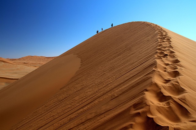 Polaris Dune