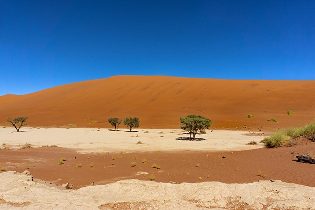 Polaris Dune