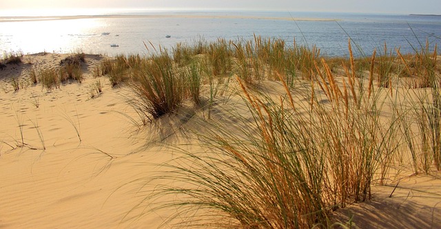 Polaris Dune