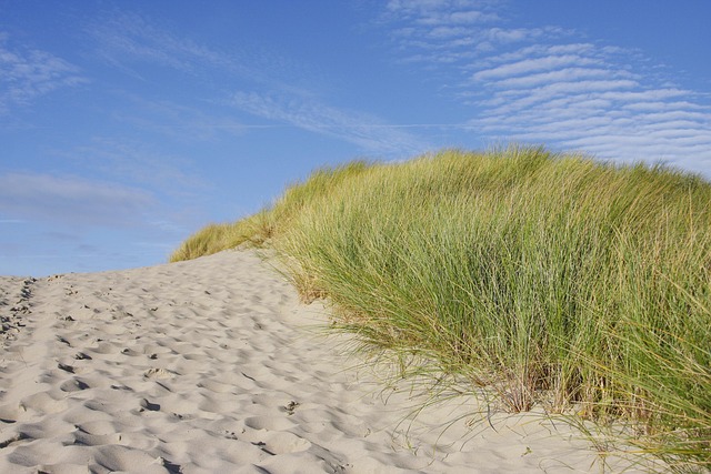 Polaris Dune