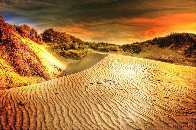 Polaris Dune