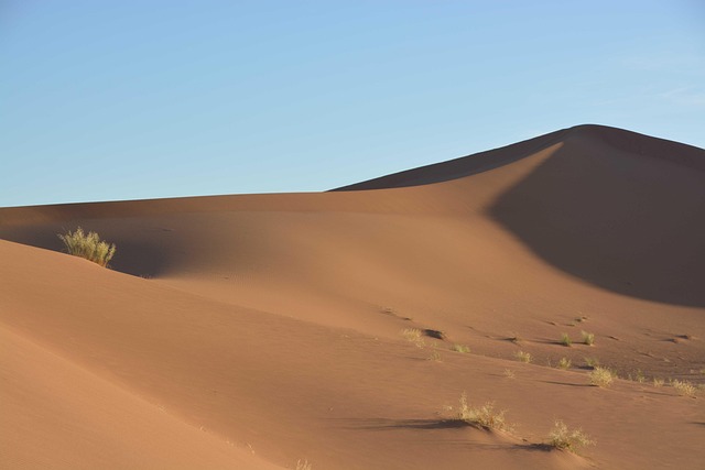 polaris-dune-640x480-76548081.jpeg
