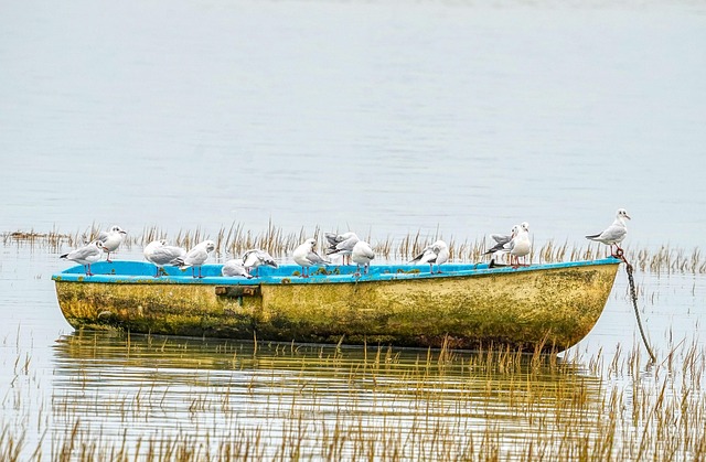 private boat trip
