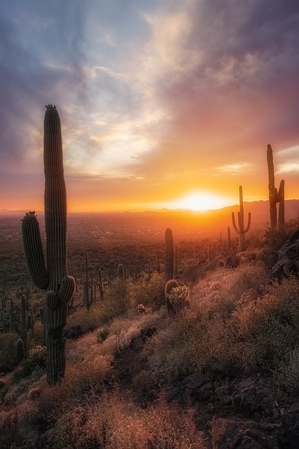 private desert