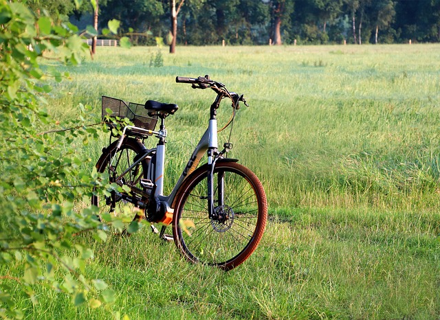 quad bike rental