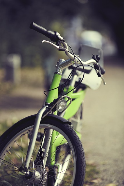 Quad Bike Rentals