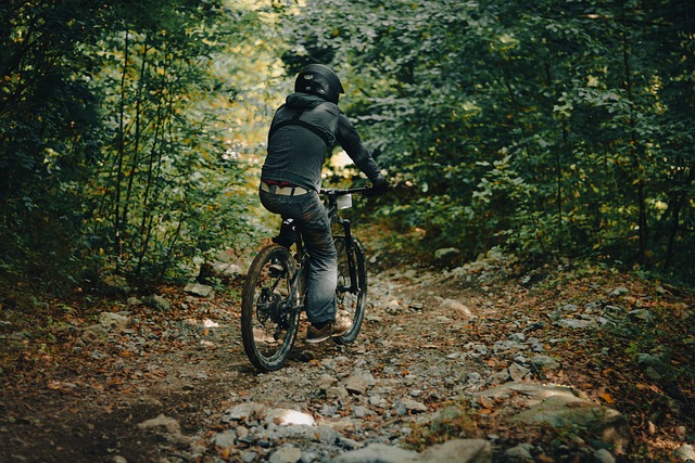quad bike ride