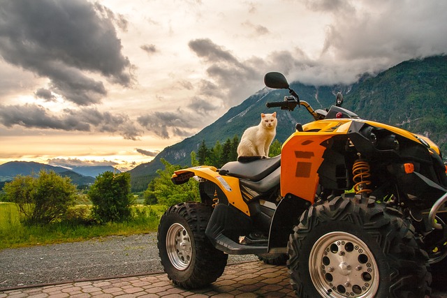 quad biking