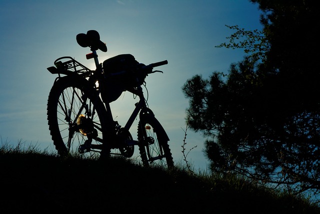 Jumeirah Bike Shuttle: Discover Dubai’s Quad Biking Gem with Pickup Service