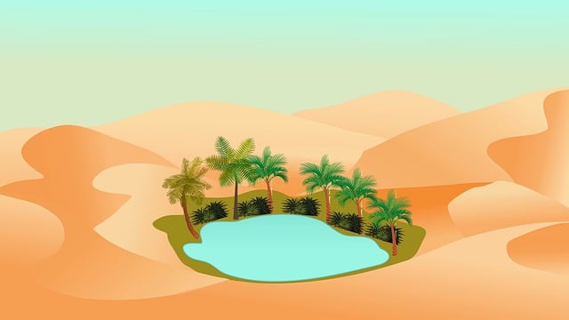 Quad biking  Silicon Oasis