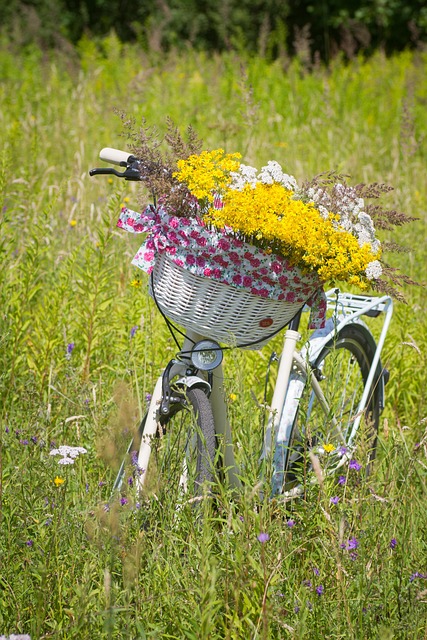 Explore The Meadows: Quad Biking Tour Pickup Service in Dubai