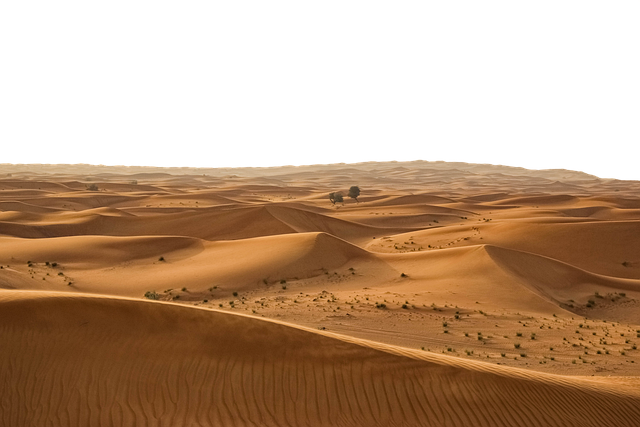 quad desert