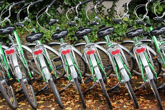 quad rental