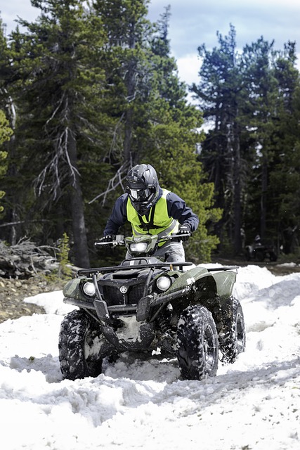 Quad Ride Dubai: Explore, Plan, & Safety Guide for Ultimate Adventures