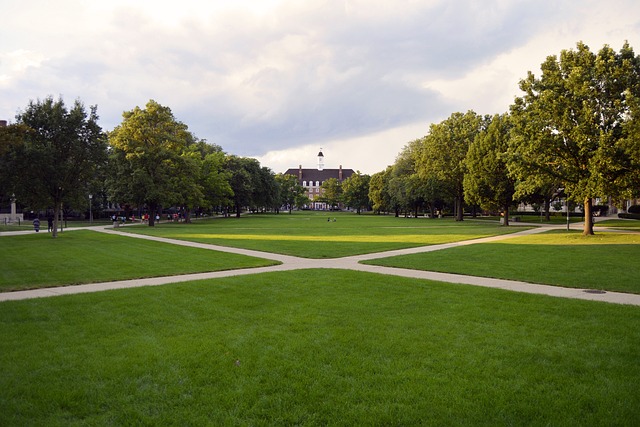 quad tour
