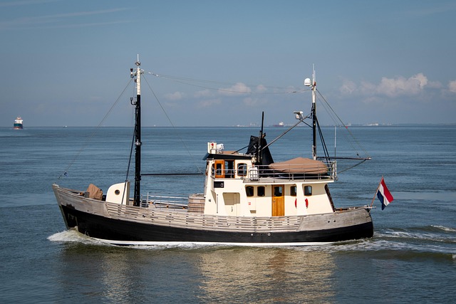 rent a boat