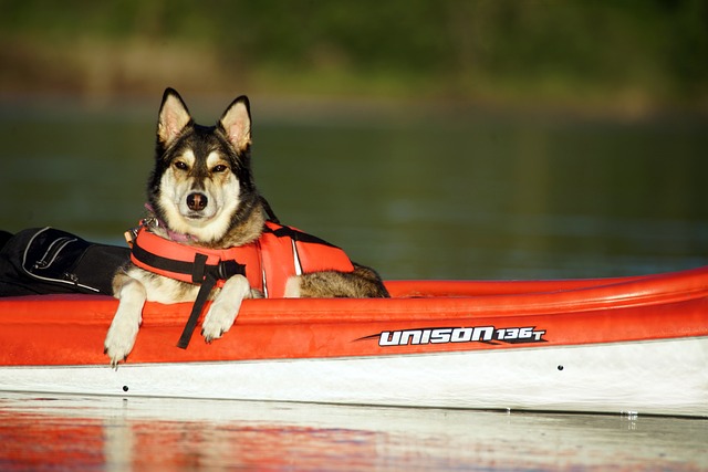 rent a boat